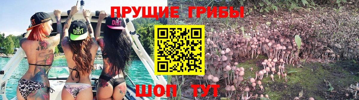 Тулун  Галлюциногенные грибы ЛСД  Вход с VPN 