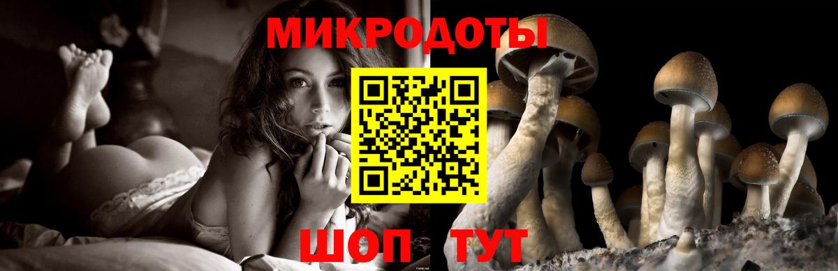 Галлюциногенные грибы Cubensis Тулун